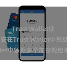 Trust Wallet使用说明 如安在Trust Wallet中惩处多个加密钱包地址？